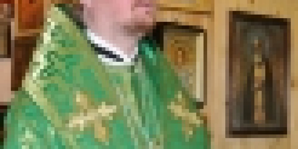 Епископ Бронницкий Игнатий совершил Божественную литургию в храме пр. Серафима Саровского на Филевской пойме