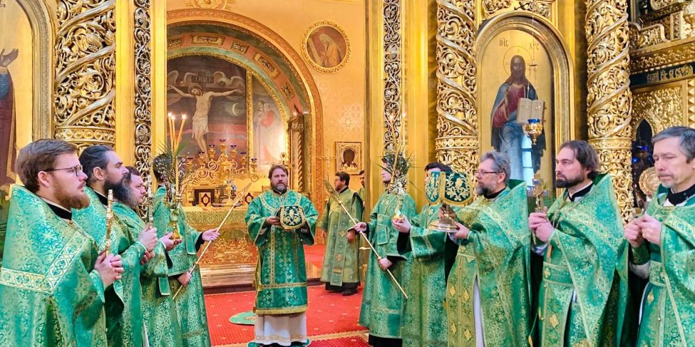 В праздник Входа Господня в Иерусалим епископ Фома совершил Литургию в Богоявленском соборе