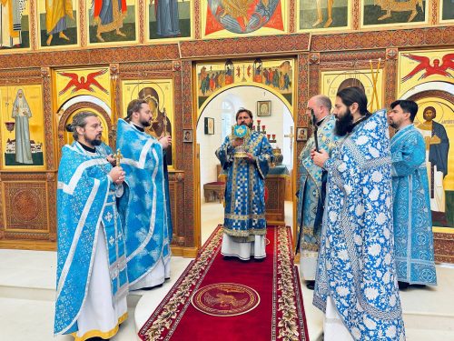 Божественную литургию совершил архиепископ Фома в Елизаветинском детском хосписе 