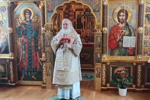 Поздравление Западного викариатства Святейшему Патриарху Кириллу в 13-ю годовщину интронизации